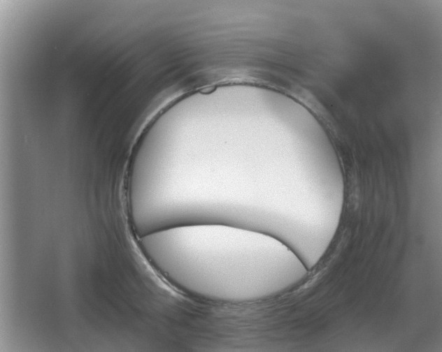 X0000067890806200604171335