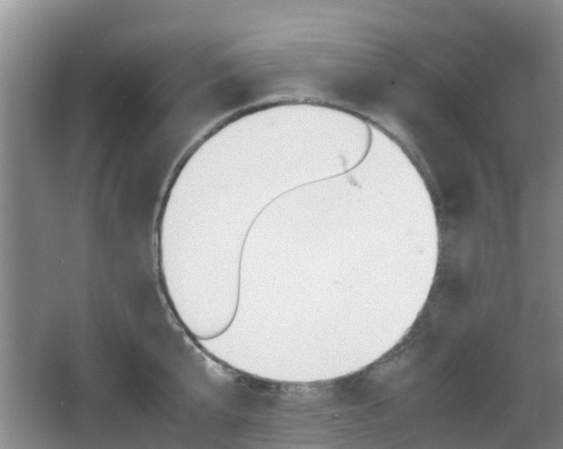 X0000067890807200604171335