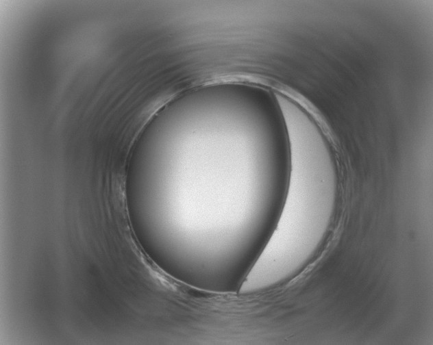 X0000067890809200604171335