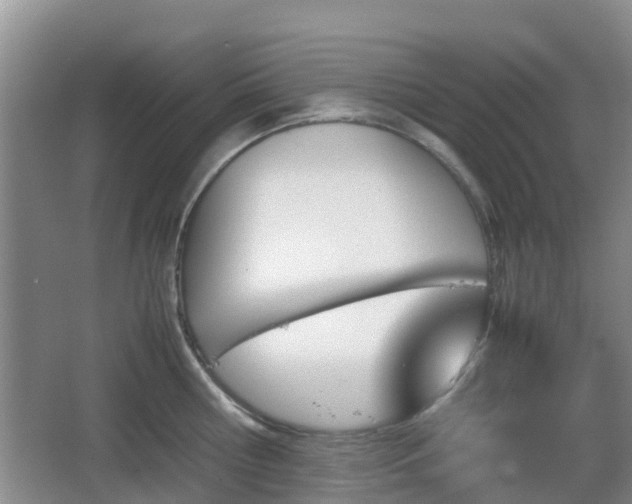 X0000067890810200604171335