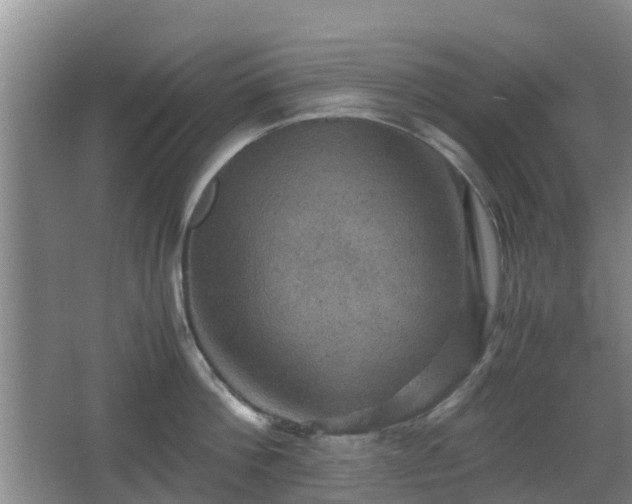 X0000067890812200604171335