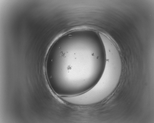 X0000067890813200604171335