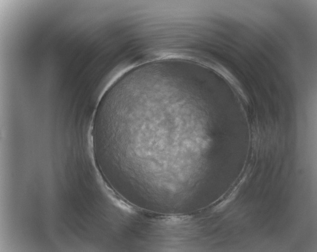 X0000067890814200604171335