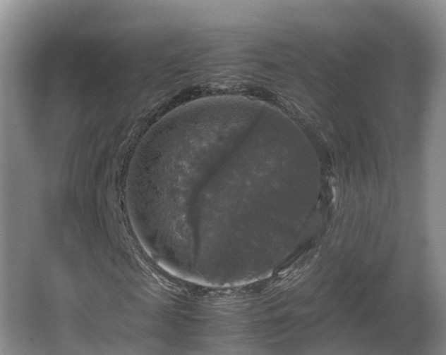 X0000067890817200604171334