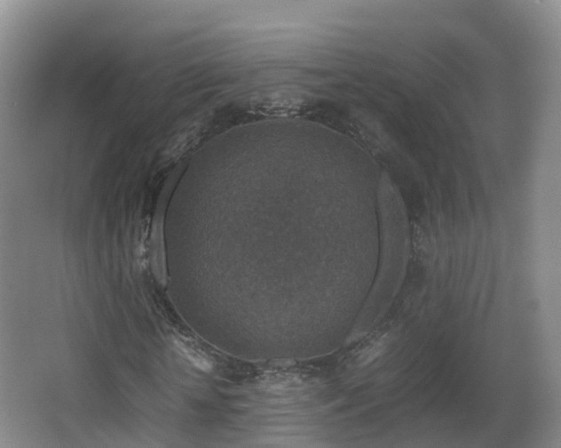 X0000067890818200604171335