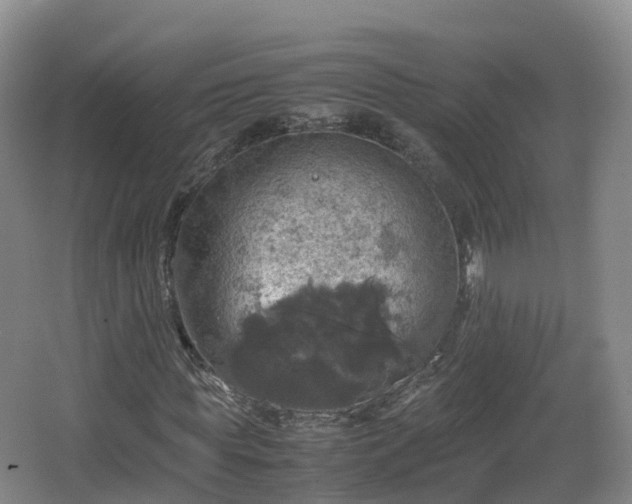 X0000067890819200604171335