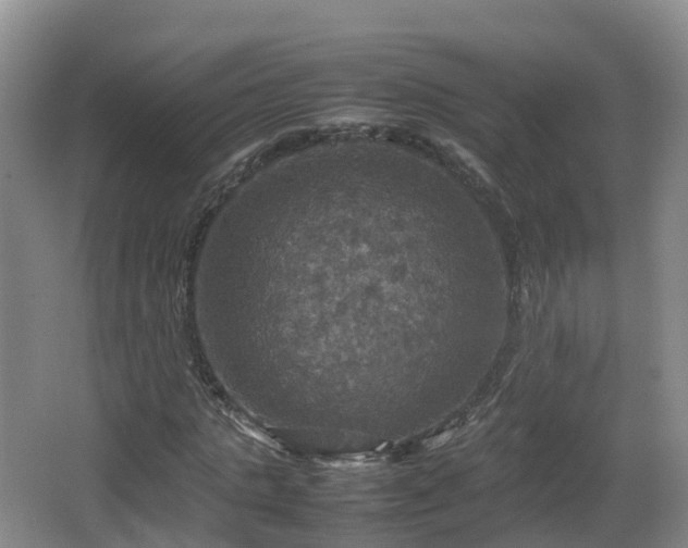 X0000067890821200604171335