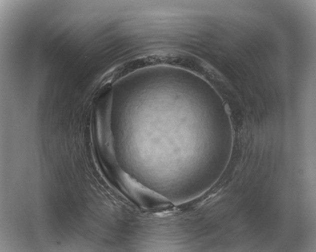 X0000067890822200604171335