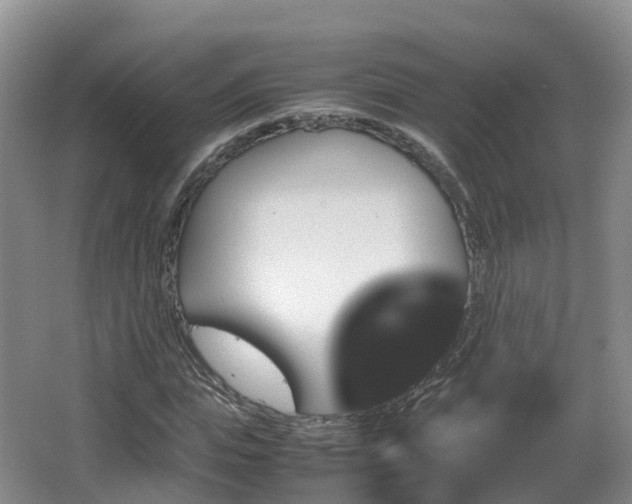 X0000067890823200604171335