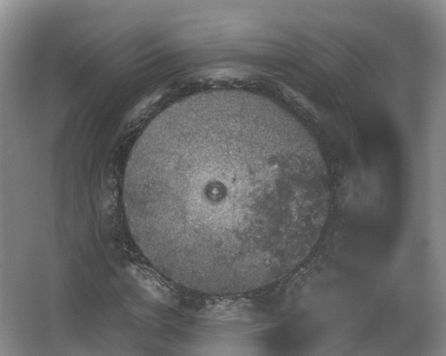 X0000067890824200604171335