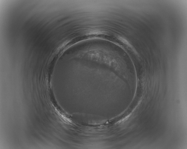 X0000067890825200604171335