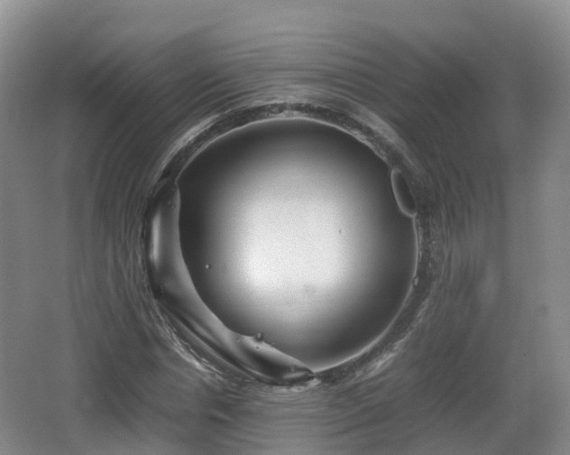 X0000067890826200604171335