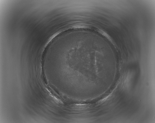 X0000067890829200604171335