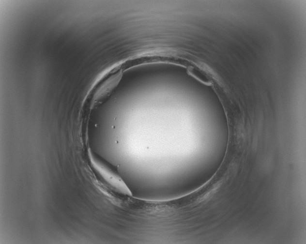 X0000067890830200604171335