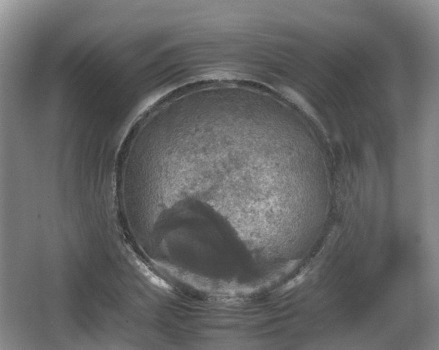 X0000067890831200604171335