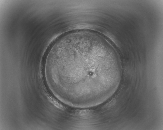 X0000067890832200604171335