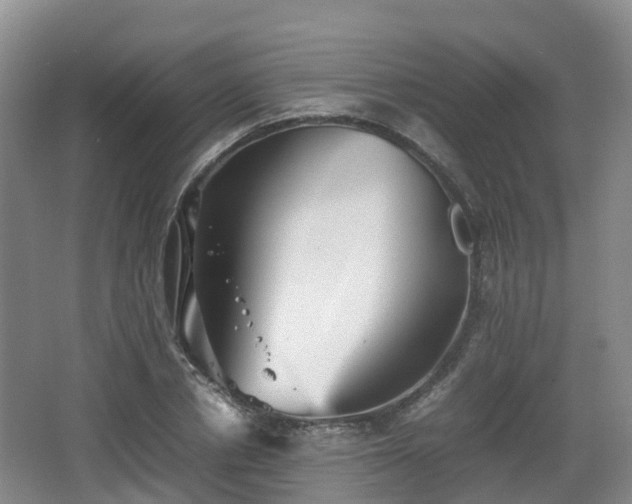 X0000067890834200604171335