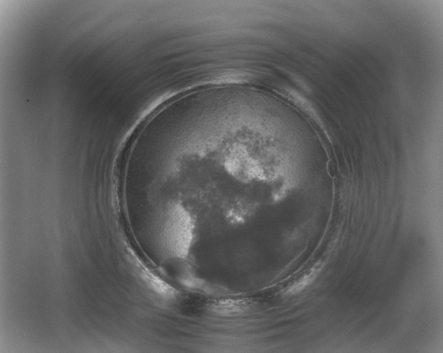 X0000067890835200604171335