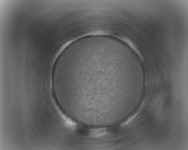 X0000067890837200604171335