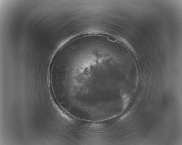 X0000067890839200604171335