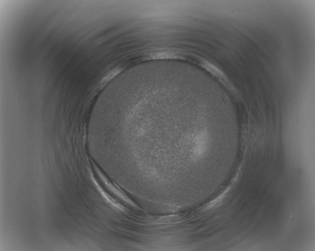 X0000067890841200604171335