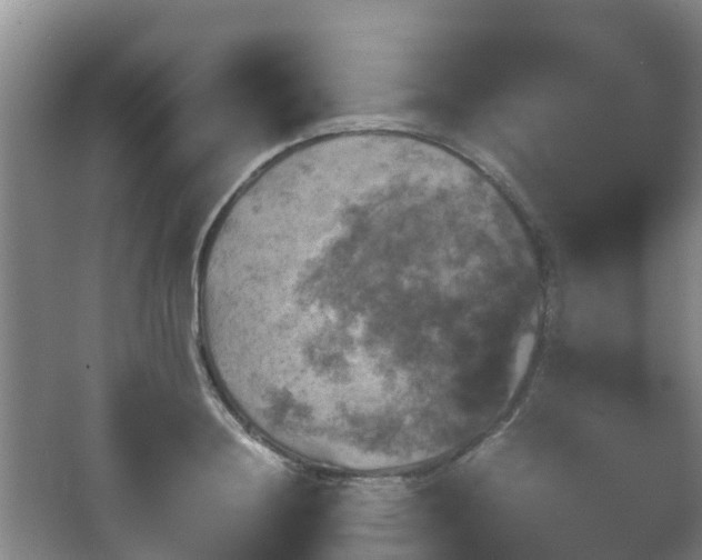 X0000067890844200604171335