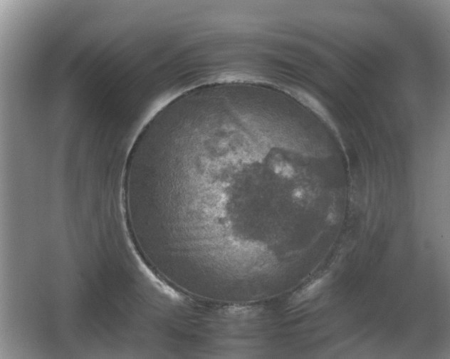 X0000067890847200604171335