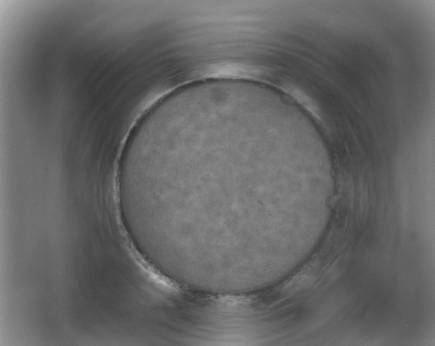 X0000067890848200604171335