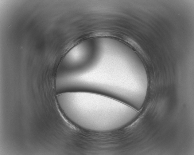 X0000067890849200604171335