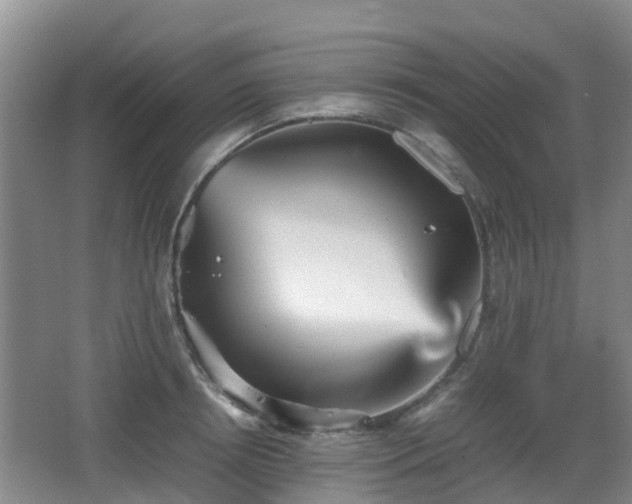 X0000067890850200604171335