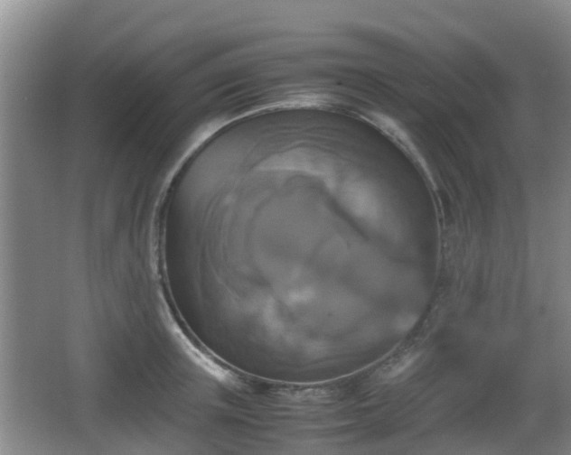 X0000067890851200604171335