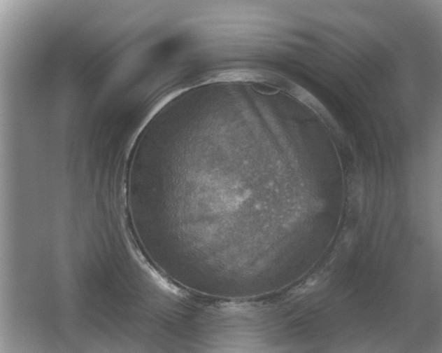 X0000067890852200604171335