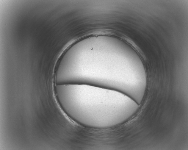 X0000067890853200604171335