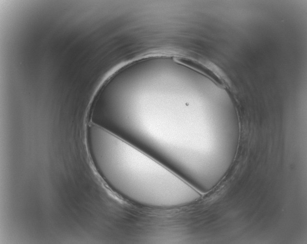 X0000067890854200604171335