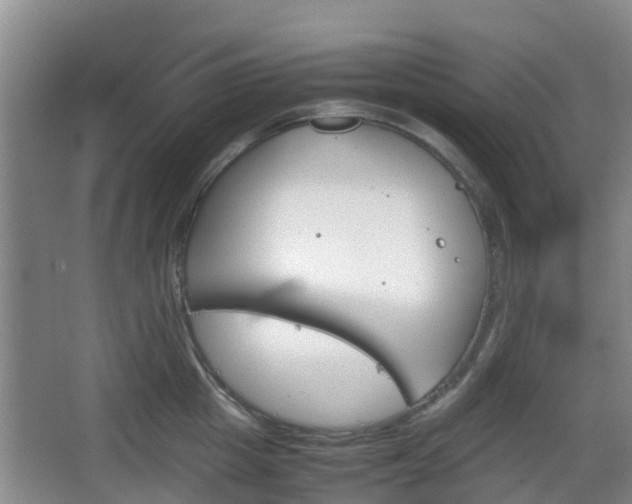 X0000067890857200604171335