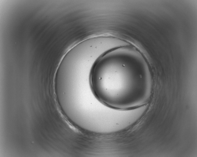 X0000067890858200604171335