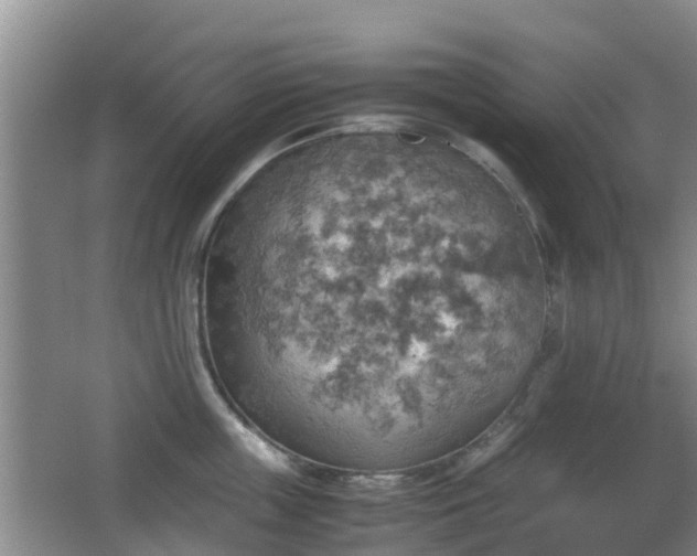 X0000067890859200604171335