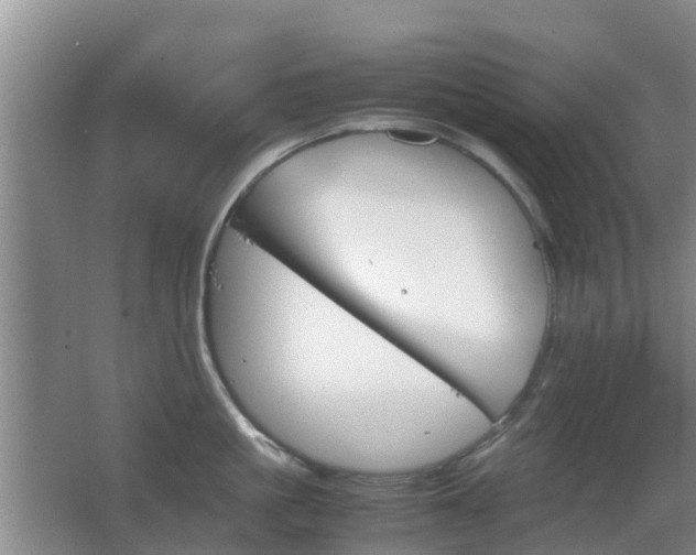 X0000067890861200604171335