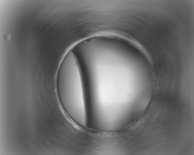 X0000067890862200604171335