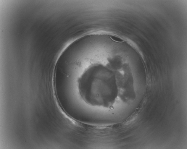 X0000067890863200604171335