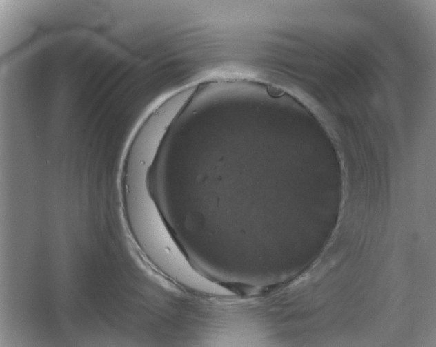 X0000067890864200604171335