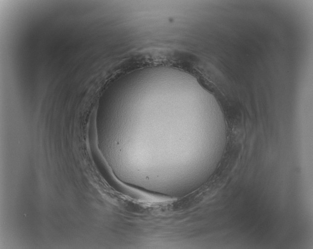 X0000067890865200604171334