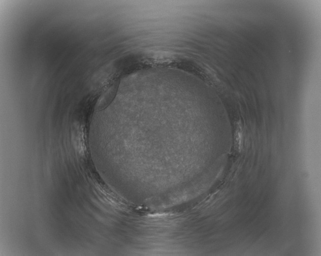 X0000067890866200604171334