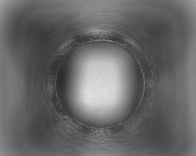 X0000067890869200604171334