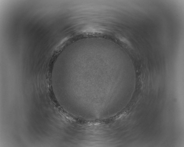 X0000067890870200604171334