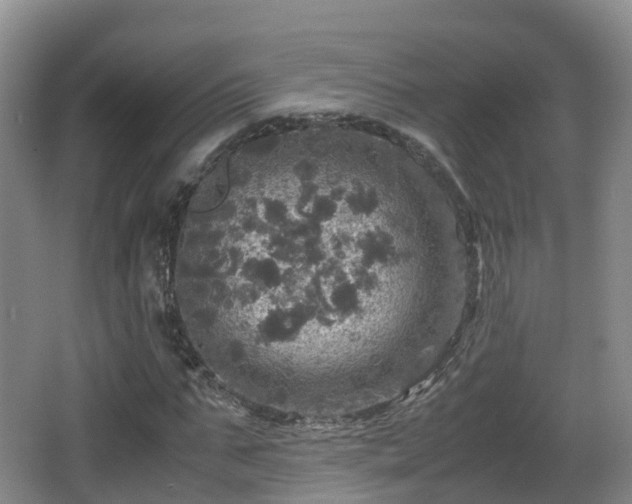 X0000067890871200604171334