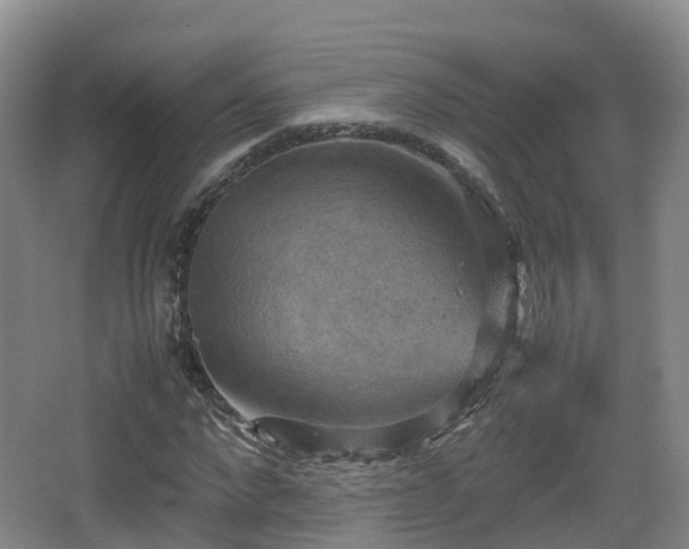 X0000067890872200604171334