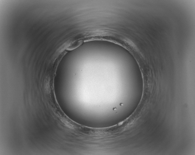 X0000067890873200604171334