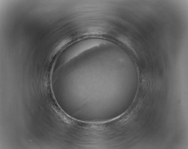 X0000067890874200604171334