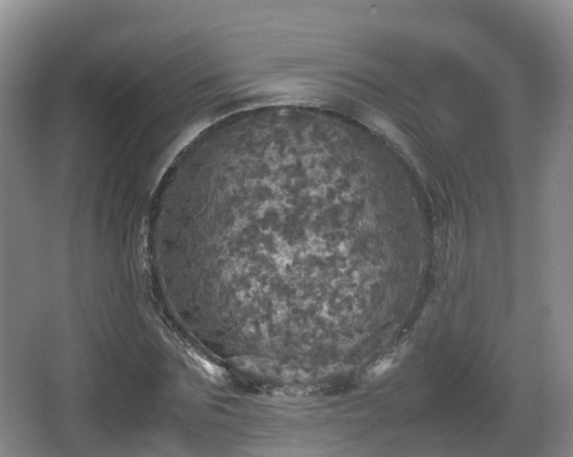 X0000067890875200604171334